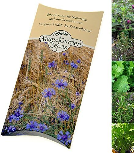 Cuisine Style Cocktail Herbs - Seed kit Gift Box with 6 Popular herb Varieties to Infuse Your Cocktails