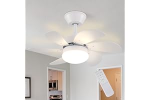 ‎HOMEFIRE Homefire Deckenventilator Mit Beleuchtung und Fernbedienung Leise - Deckenlampe Wohnzimmer 6 Flügeln Ø75 cm Ventilator Timing Deckenleuchte Fan Sommer-/Winter für Schlafzimmer Küche - Ohne Glühbirne