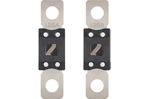 VEXUNGA MEGA Fusibili Auto 125A Mega Fusibili ANM 125 Amp Fusibile ad Alta Corrente per Autobus Roulotte Camion (2 Pezzi)