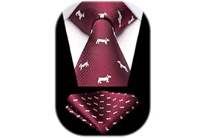 HISDERN Cravatta Fantasia Uomo Fazzoletto Cravatte da Matrimonio Set Cravatta e Pochette Elegante