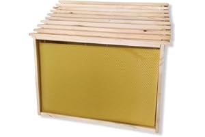 Mondo Ape 10 Telaini da Nido con Foglio Cereo Applicato, Pronti all'Uso, Telaini per Api, Telaini per Apicoltura, 100% Cera Italiana, Apicoltura