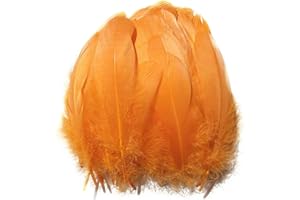 Suneast 100 Stücke Federn Dekoration Natürliche Gänsefedern Weiche Crafts Feather Indianer Federn für Traumfänger Basteln, Kostüme Hüte Schmuck Deko, DIY Ohrring - Orange, 15-20cm