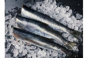 Frische Heringe | Heringe | küchenfertig | Gekühlter Expressversand | 500g | Beste Qualität | vakuumverpackt | delishopper