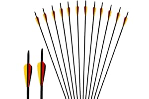 Deweey 12pcs Archery Arrows 31" Mixed Carbon Arrows with 3" Feathers Targeting Arrows with Replacement Screw-In Broadheads, Practice or Hunting for Recurve Bow Longbow and Traditional Bow