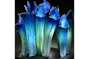 kiskick 20 piezas Semillas de Nepenthes Jardín Balcón Techo Bonsai Plantas de jarra carnívoras para hermosos jardines y paisajismo rojo (20PCS) Semillas de nepenthes