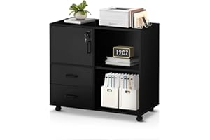 CLIPOP 2-Schubladen-Mobiler Aktenschrank mit Ablagefach und Offenen Fächern,Rollcontainer Abschließbare Seitlicher Aktenschrank für Das Heimbüro Organisationseinheit Druckerständer