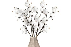 JIUZCARE Cotone Essiccati Fiori Di Cotone Steli Di Cotone Fiori Artificiali In Cotone Rami Decorativi Fiori Finti Per Decorazioni Interno Rami Decorativi Per Bouquet Fiori Secchi, 5 Confezioni 6 Palle[30Pcs]