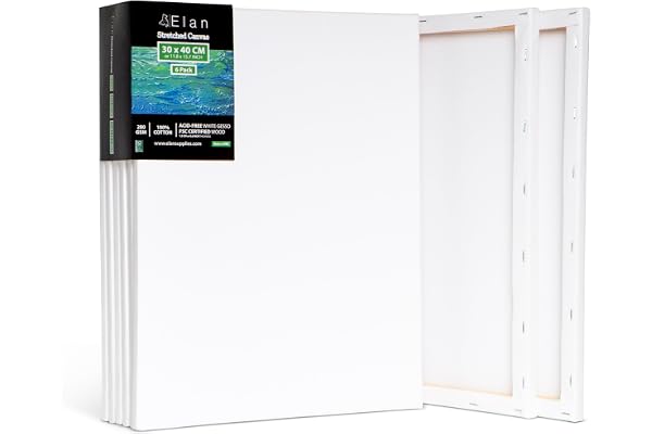 Elan Toile Peinture 30x40, Lot de 6 Toiles à Peindre 100% Coton, 280GSM Canvas Painting 30x40, Toile à Peindre, Chassis Entoilé, Canvas 40x30