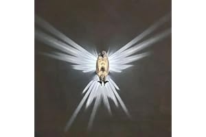 RUDFUZ 3D Animals LED Wall Light Magical Owl Eagle Resin Night Light 3D Printed Wall Decoration Wall Light Battery Operated for Bedroom Living Room Stairway Hallway Kitchen Pub Cafe(Without Battery)