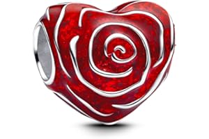 TCZNAF Amore e Famiglia Ciondolo Charm Pendant Compatibile Per Europei Bracciali Regali Charms da Donna Festa della mamma San Valentino