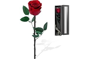 Focenat Fleurs éternelles,Rose préservée dans Une boîte à Roses,Rose éternelle Rouge avec Tige,Roses Naturelles éternelles,La Rose éternelle,pour Femme,Petite Amie,Saint-Valentin,Noël,fête des mères