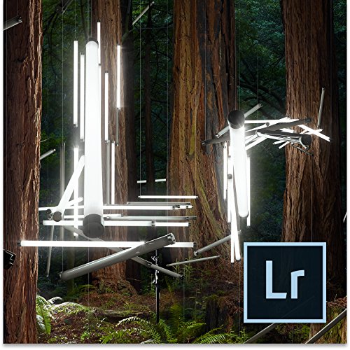 Preisvergleich Produktbild Adobe Photoshop Lightroom 6 (EN) als Download