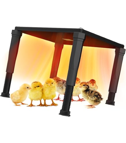 Pannello Riscaldante Termostatico Per Pollaio 160W, Temperatura Regolabile 0-99°C, In Acciaio Inox Per Pulcini E Animali Domestici