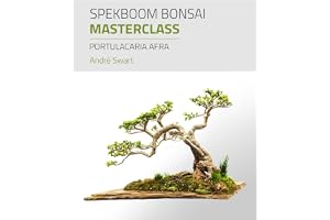 Spekboom Bonsai Masterclass: Portulacaria Afra