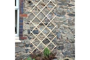 Garden Mile Wooden Expanding Trellis Garden Wall Trellis for Climbing Plants Wooden Climbing Plant Support Panel for Flowers Decorative Trellis Fence Panels Expandable 180 x 60cm