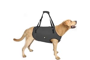 Coodeo Harnais de Levage pour Chien, Sangles Ajustables et Rembourrées, Support Respirant pour Chiens Âgés, Handicapés, Blessures Articulaires, Arthrite, Perte de Stabilité (Gris, M)