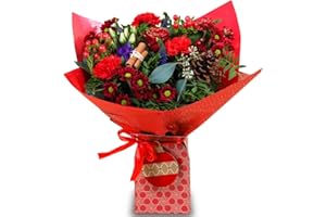 All Occasions Christmas Flower Bouquet, Red & Purple Fresh Flowers, Perfect for Birthdays, Anniversaries & Christmas Gifts
