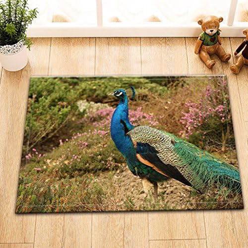 60cm Lx40cm W None- Slip Water Absorption Soft Bath mat Peacock Digital Design Print Carpet For Bathroom Decoration