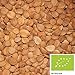 Produktbild 1kg BIO Bittere Aprikosenkerne, handverlesen