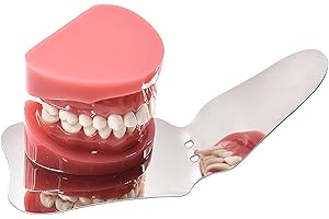 BUYZG Specchio per fotografia ortodontica dentale Specchi orali Denti Riflettore in acciaio inossidabile(A)