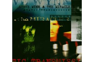 Steve Wynn & The Miracle 3: Static Transmission