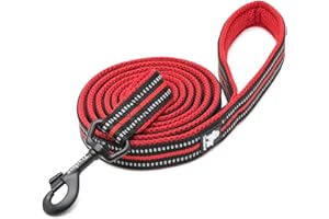 WINHYEPET True Love Chien Laisse Nylon Réfléchissant Poignée Confortable Lead Puppy Training Marche Corde Contrôle Facile Applicable à Toutes Les Races Longueur 110 cm TLL2111(Rouge,L)