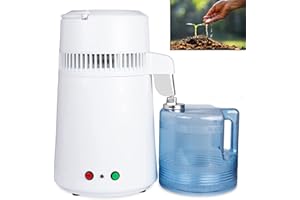 FoundGo Distillateur d'eau 750W Distillateur d'eau en acier inoxydable Distillateur d'eau pure avec pot en verre 1L/H, CE