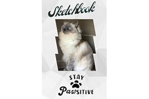 Stay Pawsitive Sketchbook: 120 Pages cat pattern for people who love cats fun kitty notepad