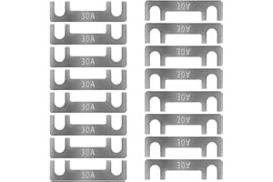 HYRYC Fusibile a Nastro Mini Fusibili Auto Fusibili Lamellari 16pz Fusibili Stripe 30A 40A 50A 60A 70A 80A 100A 110A 125A 150A per Portafusibili Corrente Forte per Auto Camion Moto Barca (30A)