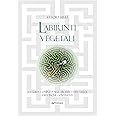 Labirinti vegetali. La guida completa alle architetture verdi dei cinque continenti. Ediz. illustrata