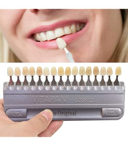 2-Piece Dental Porcelain Alloy-Pin Teeth Shade Guide - 24 Color Mixed Set