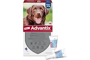 Elanco ADVANTIX Spot-On für große Hunde von 25 bis 40 kg gegen Zecken, Sandmücken, Stechmücken, Stechfliegen und Flöhe: Wirkung bis zu 4 Wochen, 4 Pipetten-Packung