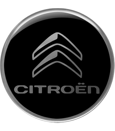 Car Emblem Sticker Badge Letters, For Citroen Logo C2 C4 Aircross C3 C4 C5 Saxo C Elysee DS 3 5 4 6 Xsara Picasso C1 Emblem Lettering Sticker Accessories