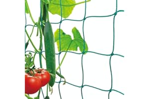 MIUEZUTH Premium Ranknetz mit großer Maschenweite für den perfekten Wachstum von Tomaten, Gurken und Kletterpflanzen Das Optimale Rankhilfe Netz für Garten und Gewächshaus - Maschnweite (10cm), Größe: 2,5 x 2m