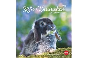 Süße Kaninchen Postkartenkalender 2025: Tierfotografin Monika Wegler setzt in einem kleinen Kalender niedliche Häschen in Szene. Tischkalender im Postkartenformat. (Postkartenkalender Heye)