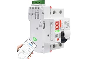 GEYA 40A Salvavita con riarmo automatico wifi Interruttore differenziale a riarmo automatico Differenziale riarmo 2P Wifi RCCB digitale LED Controllo APP/manuale AC 220V 40A 30mA (tipo A)