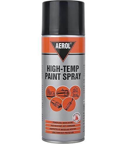 Rust-Oleum 248927 Wheel Spray Paint, 325ml (Silver) : Amazon.in