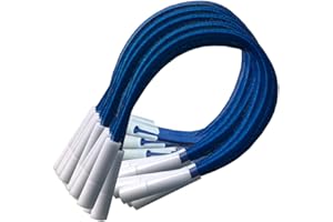 PISCIHOGAR VIDA PARA TU HOGAR PisciHogar Tensores Lona de Piscina. Goma elástica de Gran Resistencia para el cobertor de Invierno. Regulables. (30 und, Azul)