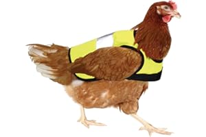 Omlet High-Vis Chicken Jacket | Keep Hens Safer in The Dark | Insulation and Protection for Your Hen | Breathable, Showerproof Fabric | Protects from Dirt | Yellow