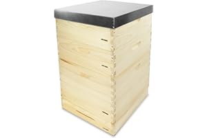 APIFORMES Dadant US (DAD) 12 Waben Beute - Weymouthskiefer