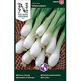 Frühlingszwiebeln Samen White Lisbon - Nelson Garden Saatgut für Gemüse - Zwiebel Samen Lauchzwiebeln (450 Stück) (Einzelpack