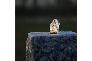 CLGarden LED Ring warm Weiss für Springbrunnen Beleuchtung Licht Lichter Lampen Lämpchen Kranz 12V