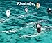 Kitesurfing 2010 by 