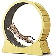 Hibtn Inside Diameter 39.4'' Large Cat Exercise Wheel, Treadmill, Running Wheel Silent Movement, Activity Toy, Interactive, Weight Control, Gift, Mute With Lock, 104.5x36.5x116.5CM