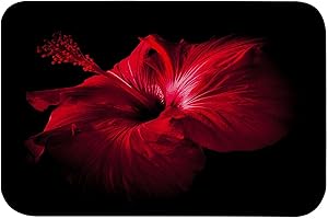 A.Monamour Antideslizante Absorbente Lavable Alfombra de Baño Flores Románticas Flores Rojas Sobre Fondo Negro Mullido Franela Alfombrilla Tapete Moqueta para Baño Bañera Ducha Cocina Salón Dormitorio