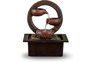 ZEN LIGHT ZEN'LIGHT, fontana interna Zen Terai, decorazione per la casa originale, flusso d'acqua naturale, illuminazione a led multicolore, pompa silenziosa, L 17 x L 21 x H 25 cm