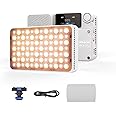 amaran Ace 25c Video Light,25w RGB Portable Light for Photography On-Camera Video Lights CRI/TLCI 95+,CCT 2,300K-10,000K,Rechargeable Dimmable Vlog Light,APP Control,PD Charging (White)