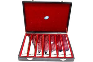 YUEKO swan 24-hole polyphonic harmonica 7 sets silver C D E F G A B professional performance set for Adults Beginners Students Kids, Perfect Interest Gift