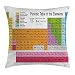 Produktbild Periodic Table Throw Pillow Cushion Cover, Science Freak Chemistry Lovers Colorful Element Table for Fun Learning Image, Decorative Square Accent Pillow Case,Multicolor 20X20 inches