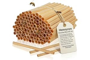 100PCS Bee Tubes 5 8mm Diameter Natural Reed Bee Tubes for Wild Bug House Mason Solitary Condo Nest Filling Insect Hotel Cons